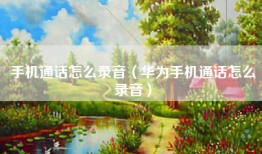 手机通话怎么录音（华为手机通话怎么录音）