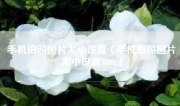 手机拍照图片大小设置（手机拍照图片大小设置500k）