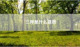 三押是什么意思