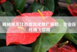 揭秘黑龙江百度优化推广策略，企业在线腾飞指南