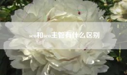seo和seo主管有什么区别