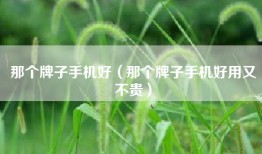那个牌子手机好（那个牌子手机好用又不贵）