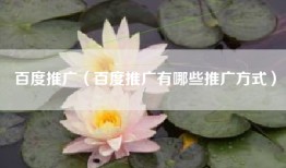 百度推广（百度推广有哪些推广方式）