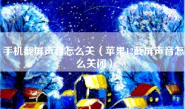 手机截屏声音怎么关（苹果12截屏声音怎么关闭）