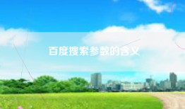 百度搜索参数的含义