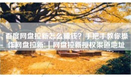 百度网盘拉新怎么赚钱？手把手教你操作网盘拉新!｜网盘拉新授权渠道地址