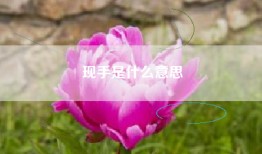 现手是什么意思