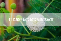 什么是抖音代起号陪跑代运营
