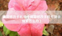 滴滴修改手机号（滴滴修改手机号提示频繁怎么办）