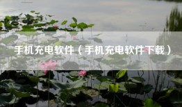手机充电软件（手机充电软件下载）