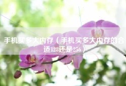 手机买多大内存（手机买多大内存的合适128还是256）