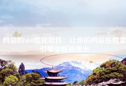 网站的SEO优化软件：让你的网站在搜索引擎中脱颖而出