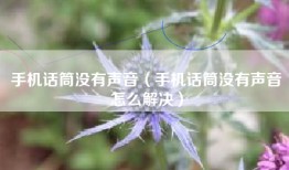 手机话筒没有声音（手机话筒没有声音怎么解决）