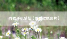 乔巴手机壁纸（乔巴壁纸图片）