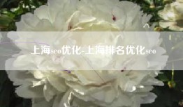 上海seo优化-上海排名优化seo