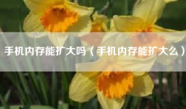 手机内存能扩大吗（手机内存能扩大么）
