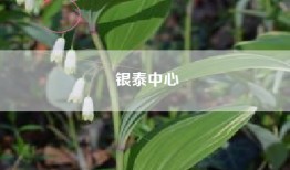 银泰中心