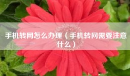 手机转网怎么办理（手机转网需要注意什么）