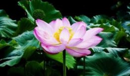 去北京玩5天要多少钱,北京旅游5天费用(1000元／人)看完避坑省钱