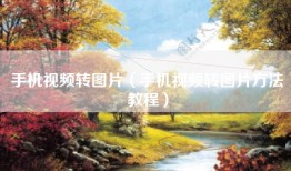 手机视频转图片（手机视频转图片方法教程）