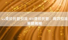 seo竞价托管引流 SEO竞价托管：高效引流策略揭秘