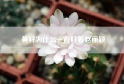 黄轩为什么一直盯着赵丽颖