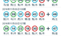2024年香港正版资料免费直播，最快解答解释落实_V版41.34.63
