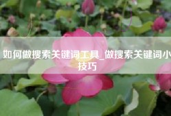 如何做搜索关键词工具_做搜索关键词小技巧