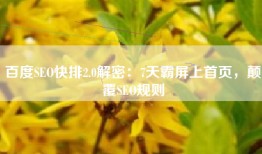 百度SEO快排2.0解密：7天霸屏上首页，颠覆SEO规则