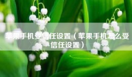 苹果手机受信任设置（苹果手机怎么受信任设置）