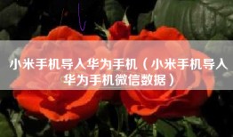 小米手机导入华为手机（小米手机导入华为手机微信数据）