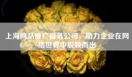 上海网站推广服务公司，助力企业在网络世界中脱颖而出