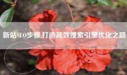 新站SEO步骤,打造高效搜索引擎优化之路