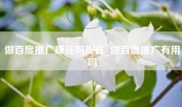 做百度推广赚钱吗现在_做百度推广有用吗