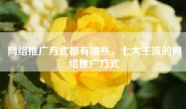 网络推广方式都有哪些，七大主流的网络推广方式