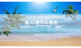 金s925是什么意思