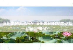 滨化集团怎么样？滨化集团的发展现状和前景如何？
