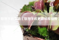 联想手机更新（联想手机更新教程视频）