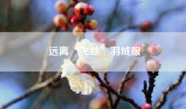 远离“飞丝”羽绒服