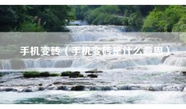 手机变砖（手机变砖是什么意思）