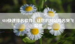 SEO快速排名软件：让您的网站排名突飞猛进