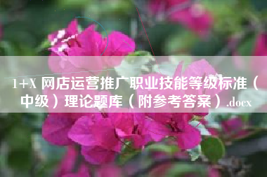 1+X 网店运营推广职业技能等级标准（中级）理论题库（附参考答案）.docx