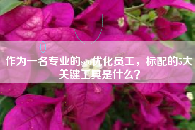 作为一名专业的seo优化员工，标配的5大关键工具是什么？