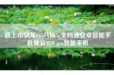 新上市骁龙865八核5g全网通安卓智能手机便宜M30 pro智能手机