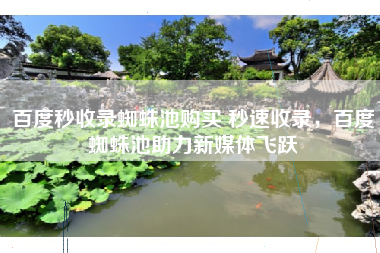 百度秒收录蜘蛛池购买 秒速收录，百度蜘蛛池助力新媒体飞跃