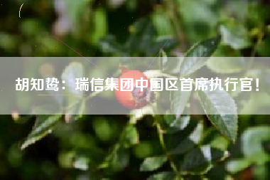 胡知鸷：瑞信集团中国区首席执行官！