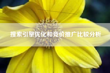 搜索引擎优化和竞价推广比较分析