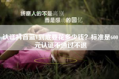 认证抖音蓝V到底要花多少钱？标准是600元认证不通过不退