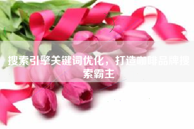 搜索引擎关键词优化，打造咖啡品牌搜索霸主