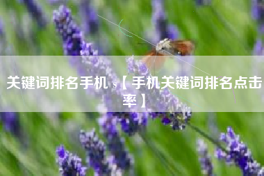 关键词排名手机 s【手机关键词排名点击率】